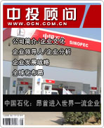 中國石化:昂首進入世界一流企業(yè)